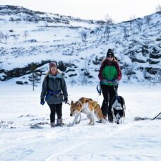 Snowshoe Hiking