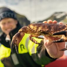 RIB Excursion with Crab Fishing