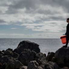 Seaweed Harvesting – Extra Afternoon Departure