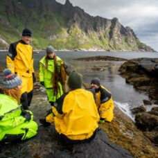 Lofoten Seaweed Harvesting by RIB Boat