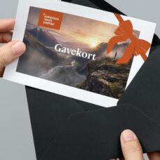 Gondola Ticket Gift Cards