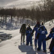Combination: Snowshoes, Ice Domes, Reindeer Feeding