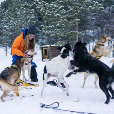 Activities & Overnight for The Active Ones