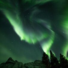 Northern Lights Chase by Bus